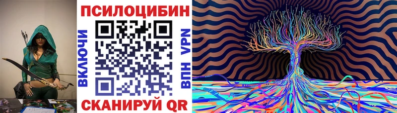 Псилоцибиновые грибы Magic Shrooms  цены   Балей 